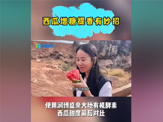 西瓜增糖提香有妙招，使用潤(rùn)博盛親大地有機(jī)酵素，西瓜甜度前后對(duì)比