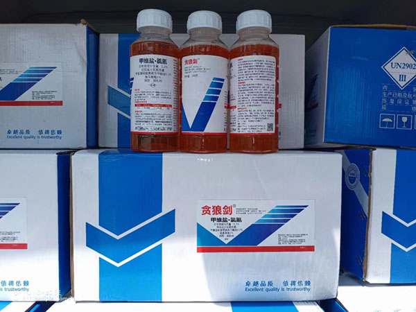 細(xì)菌生物、農(nóng)藥施用前要注意天氣